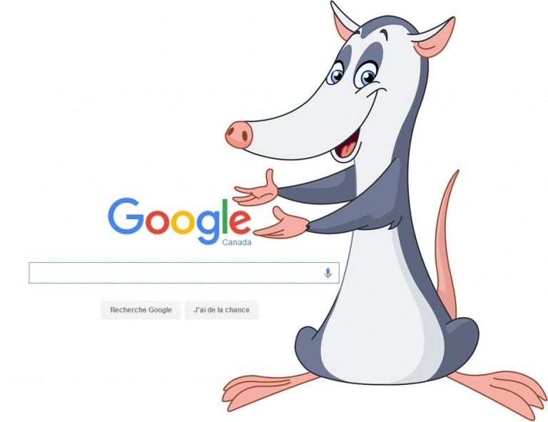 Un opossum de dessin animé présente la page d'accueil de Google Canada